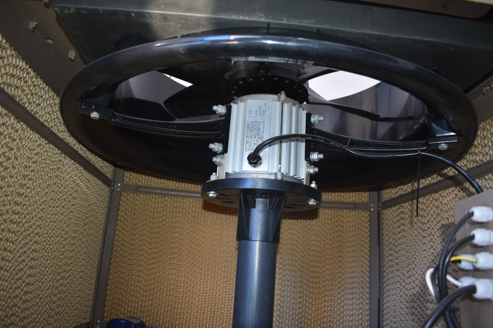 almond milk lotion almond milk lotion